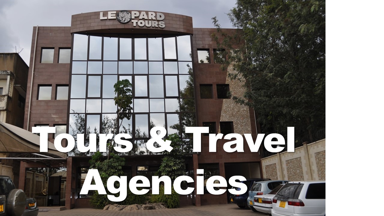 Tours and Travel